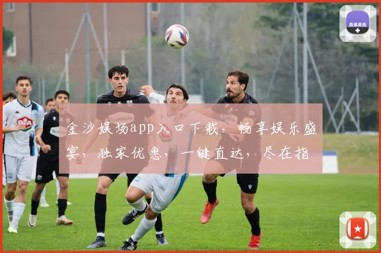 金沙娱场app入口下载，畅享娱乐盛宴，独家优惠，一键直达，尽在指尖