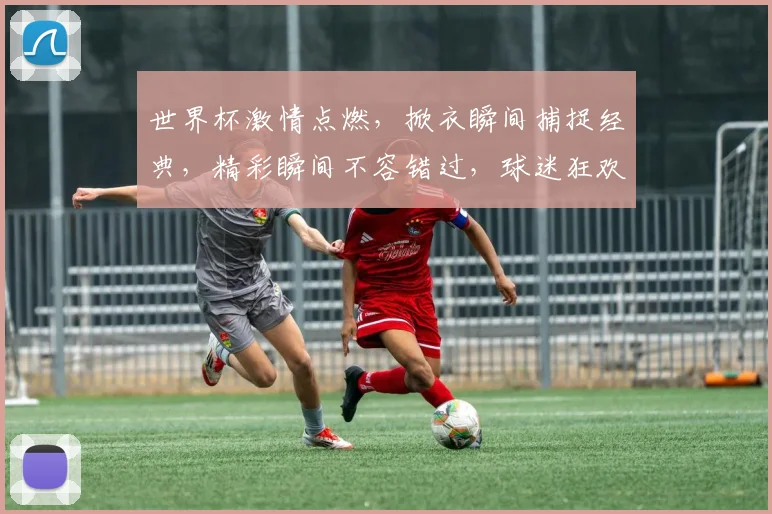 世界杯激情点燃，掀衣瞬间捕捉经典，精彩瞬间不容错过，球迷狂欢必看