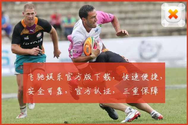 飞驰娱乐官方版下载，快速便捷，安全可靠，官方认证，三重保障