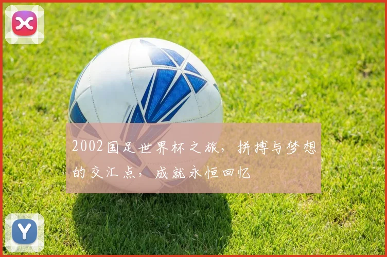 2002国足世界杯之旅，拼搏与梦想的交汇点，成就永恒回忆