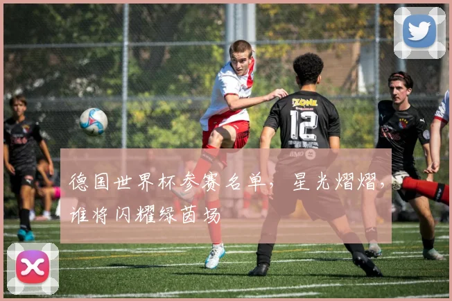 德国世界杯参赛名单，星光熠熠，谁将闪耀绿茵场