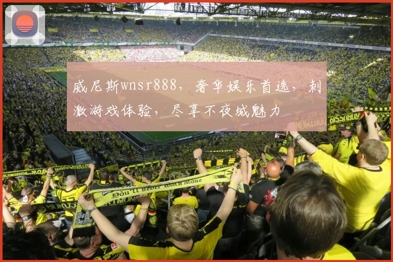 威尼斯wnsr888，奢华娱乐首选，刺激游戏体验，尽享不夜城魅力
