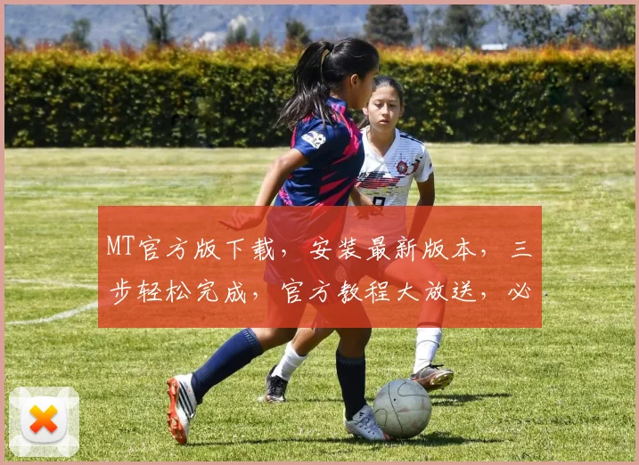 MT官方版下载，安装最新版本，三步轻松完成，官方教程大放送，必备攻略