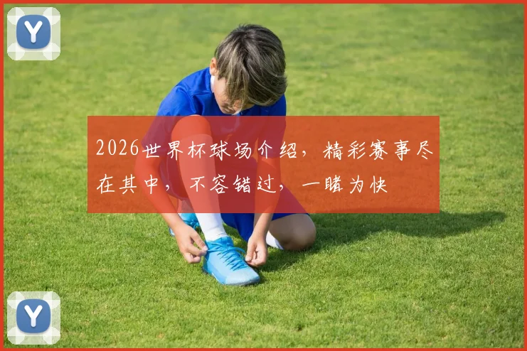 2026世界杯球场介绍，精彩赛事尽在其中，不容错过，一睹为快